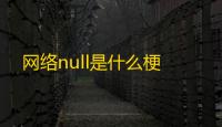 网络null是什么梗
